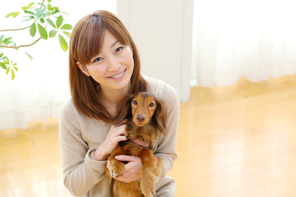 s-診療中（猫）